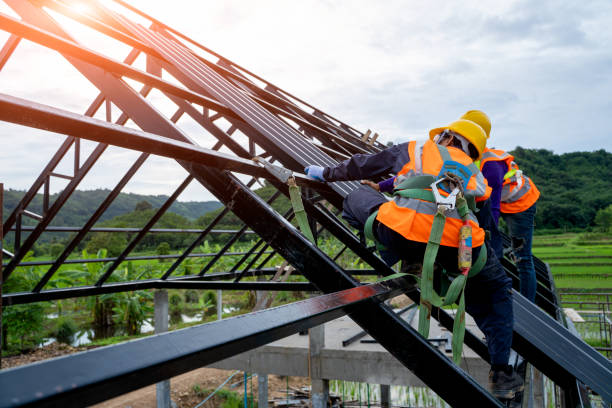 Best Storm Damage Roof Repair  in Northeast Ithaca, NY